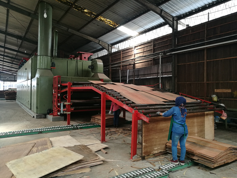 Veneer Drying For Plywood Sheets