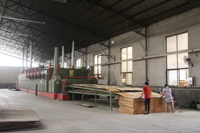  2 m³ per hour 2 layer roller veneer drying machine 