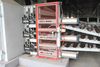 Roller veneer dryer