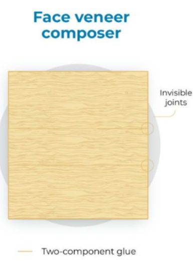 微信图片_20251125113731_453_9