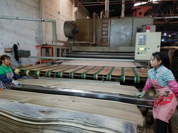 Face veneer special stainless steel veneer drying machine 