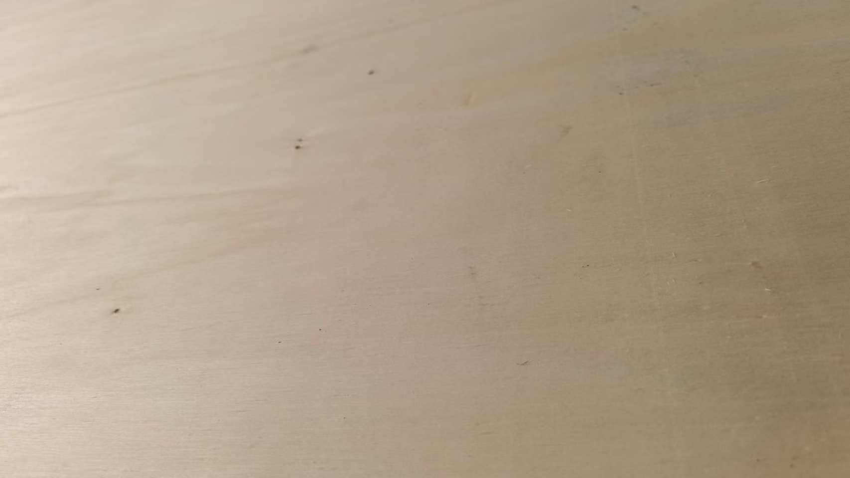 微信图片_20251031170209_125_10