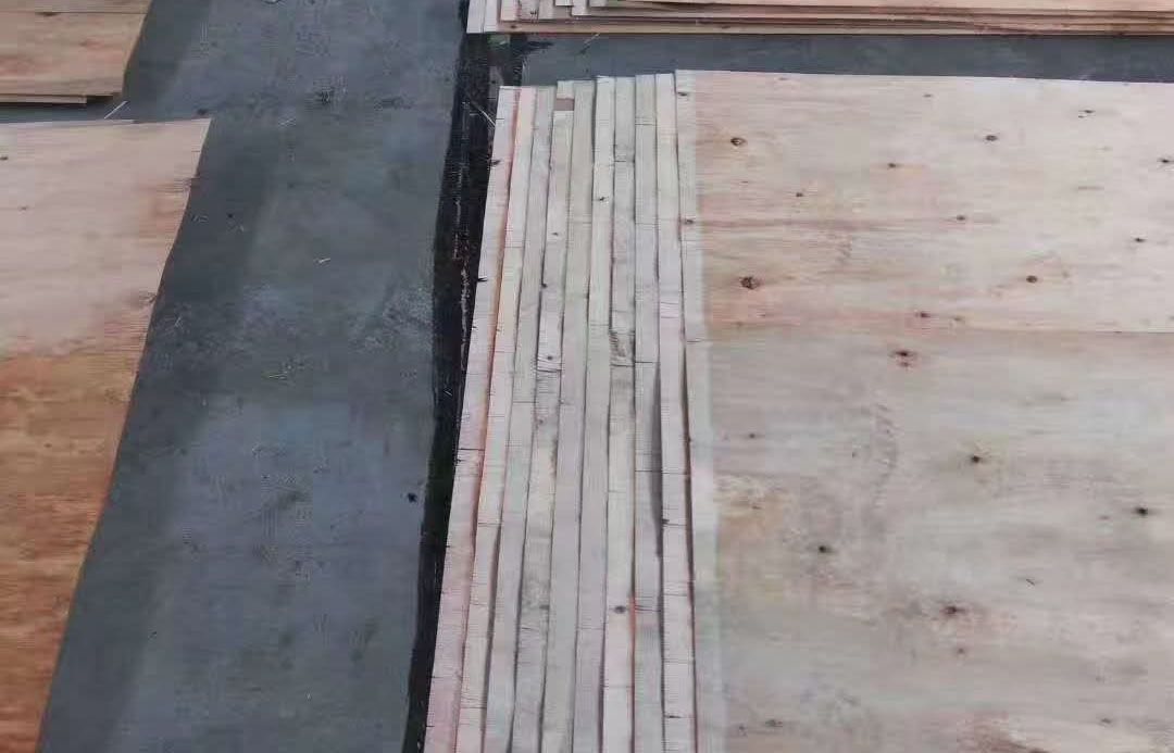 1微信图片_20250506150608