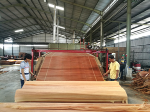  4m³ per hour 3 layer stainless mesh veneer drying machine 