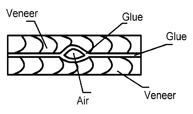 Cross-section-of-the-plywood-with-a-defect