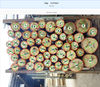 Top accuracy log volume scaler log diameter calculator app device TimberAI H1