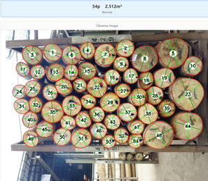Top accuracy log volume scaler log diameter calculator app device TimberAI H1