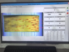 Plywood Veneer Visual Analyze And Grade Line